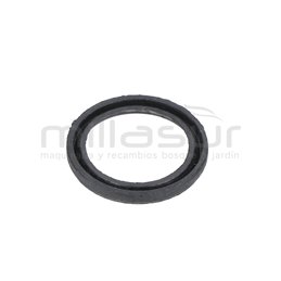 Reten Piston 25X18X2,5 Bomba Pg1C (36) Anova PG1C-0023