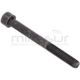 Tornillo Escape M6X60 D52R (24) Anova D52R-012