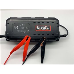 Cargador Bateria 12/24V-25.0A Cevik Pro Sp-Lem1224250