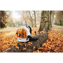 BR 700 Stihl 42822000021